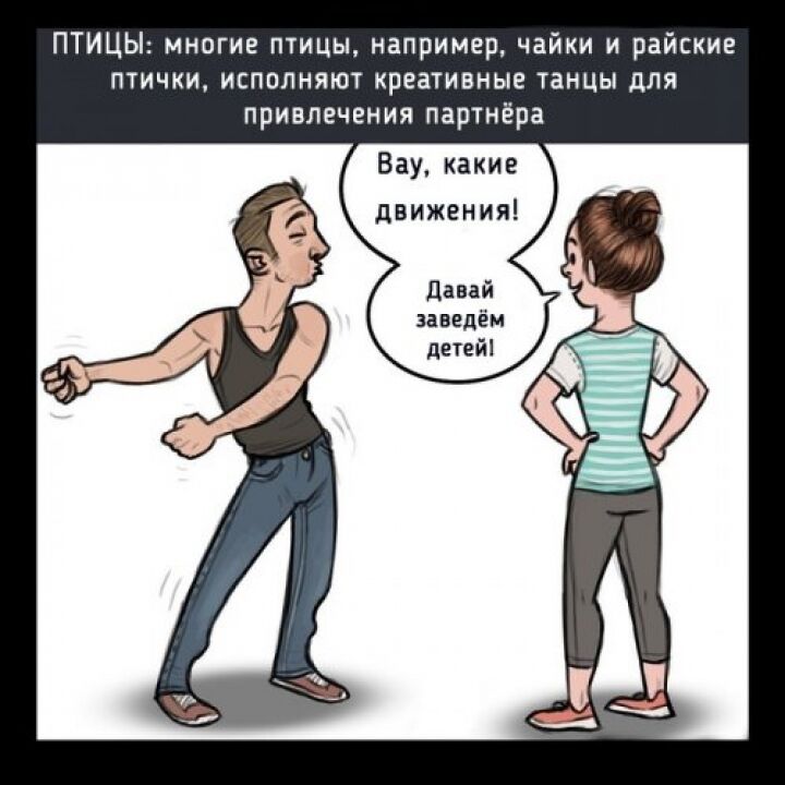 Что было бы, если бы люди флиртовали, как животные
