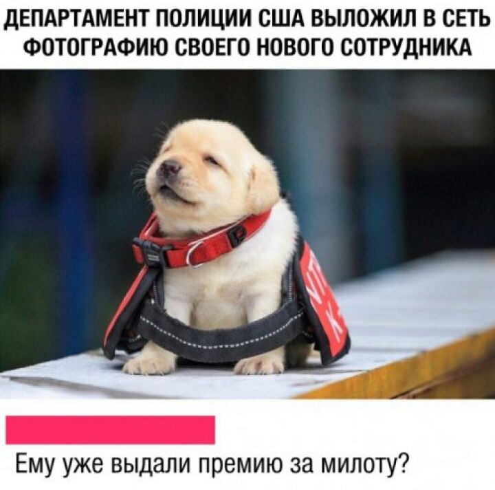 Большая порция фото — приколов и картинок