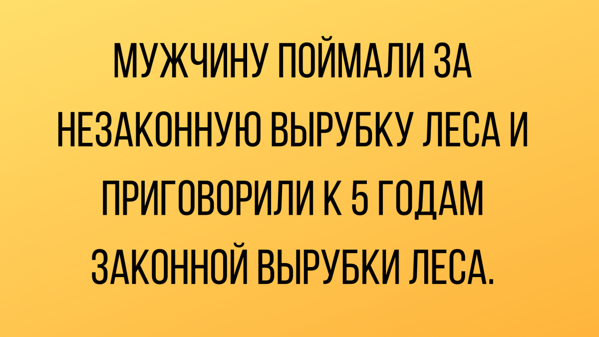 свежие анекдоты