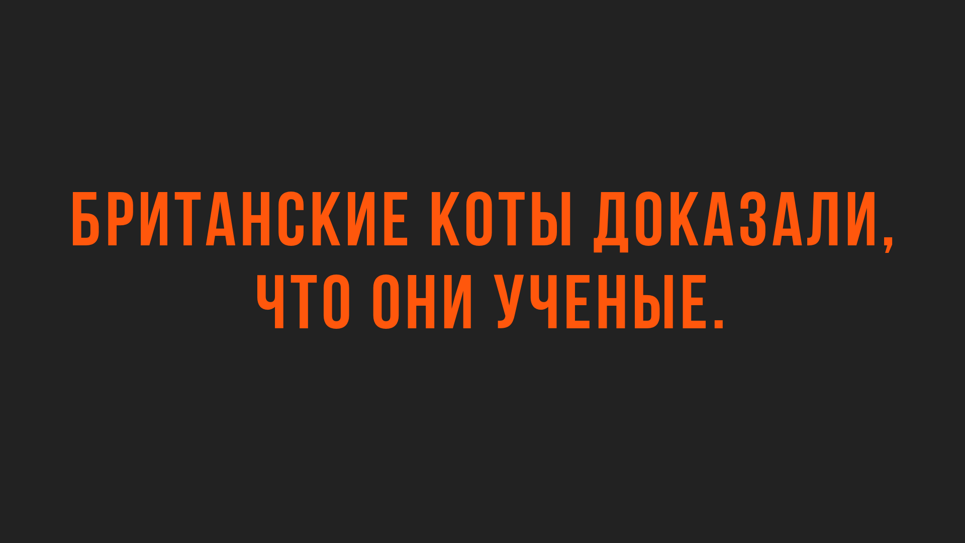 анекдоты