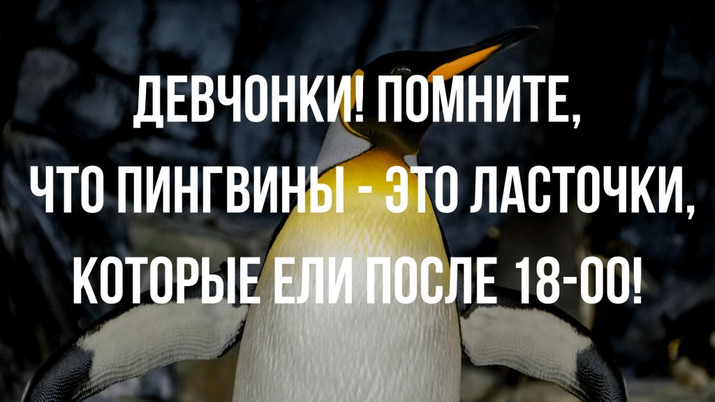 сурприз Все анекдоты про диету и похудение ответ, поздравляю дяяя….старая