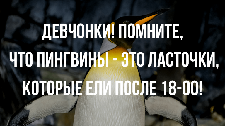 Анекдоты и шутки про диеты и похудение