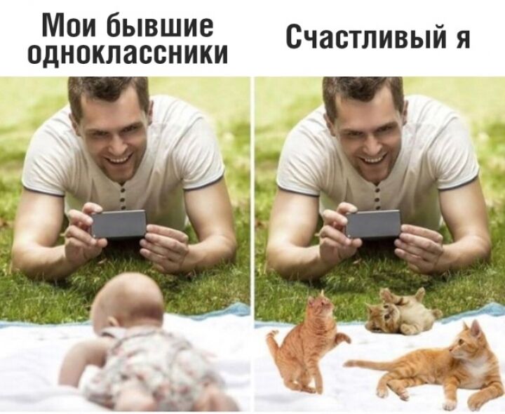 Подборка прикольных картинок