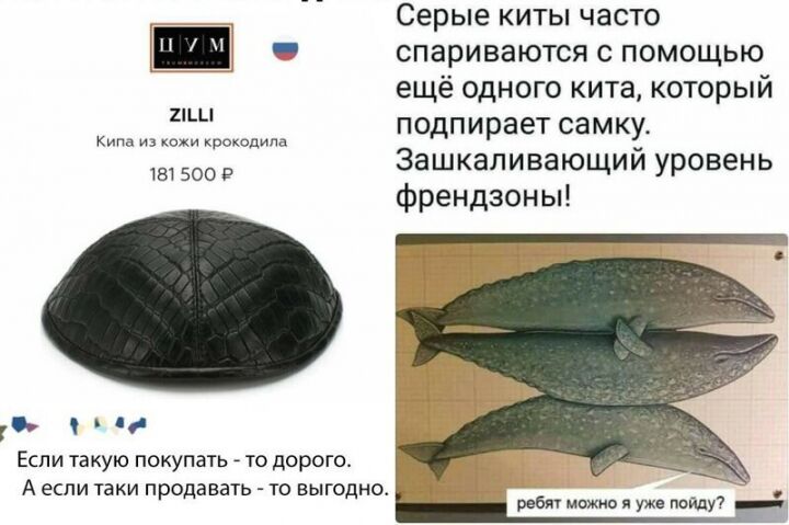Когда комментарий круче чем сам пост