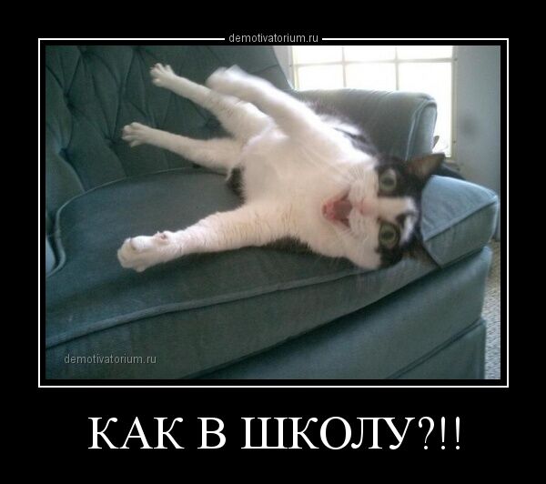 Демотиваторы ко дню знаний