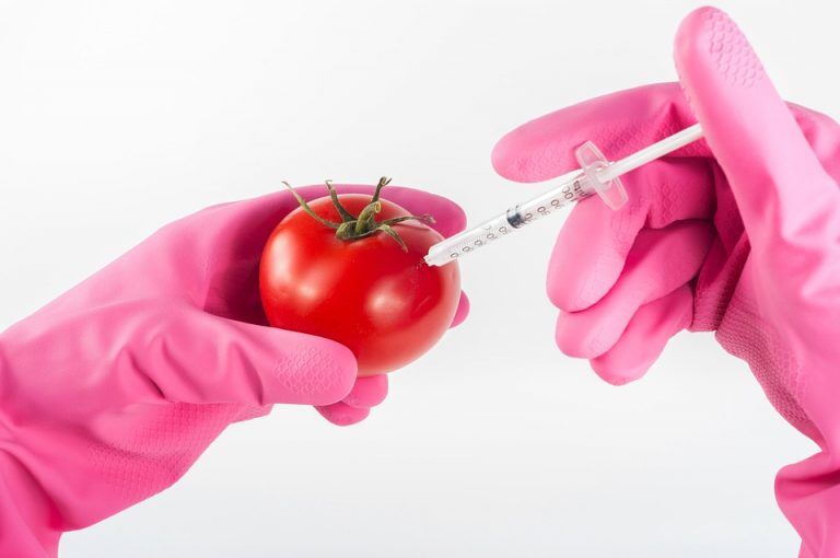 Производители биопродуктов: компании, производящие ГМО, хотят лишить нас выбора