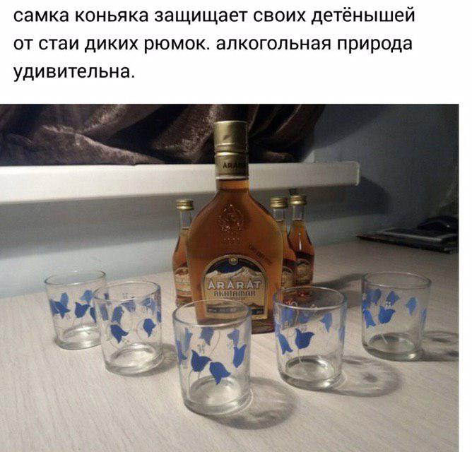 Алкопост на выходные