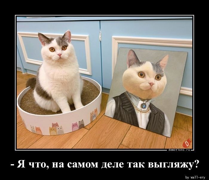 Подборка новых, отборных демотиваторов