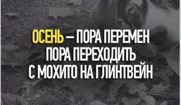 Алко приколы на выходные
