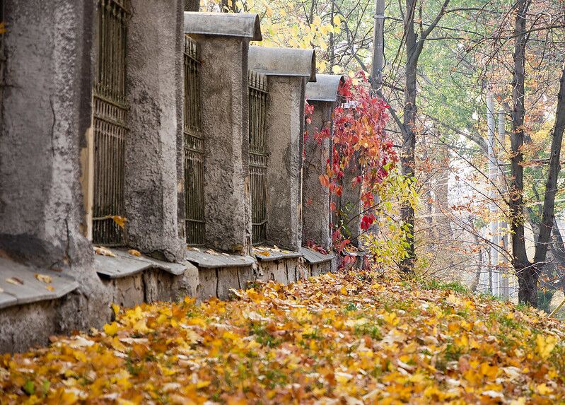 Золотую осень продлили: на выходных ожидается теплая погода