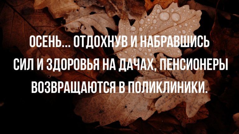 анекдоты и юмор