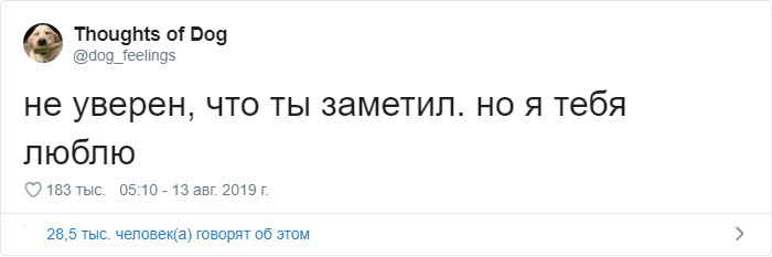 Если бы у вашей собаки был твиттер