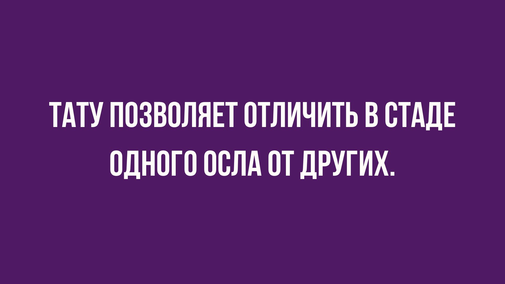 анекдоты дня настроения