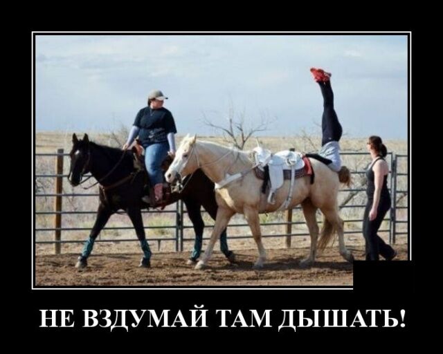 Новые демотиваторы — большая подборка за неделю
