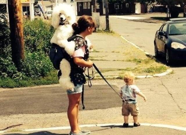 Не пытайтесь это повторить!