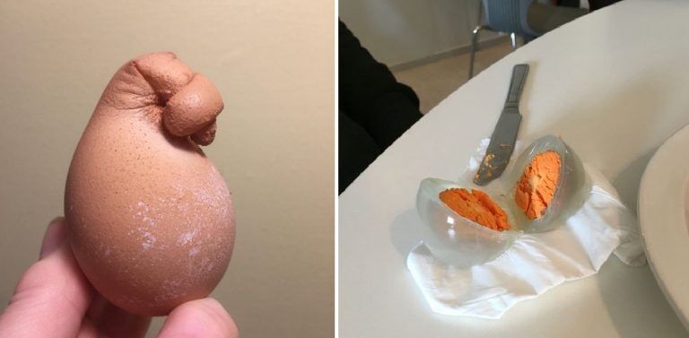 20 яиц от куриц и не только, которые наверняка поразили даже тех, кто их отложил