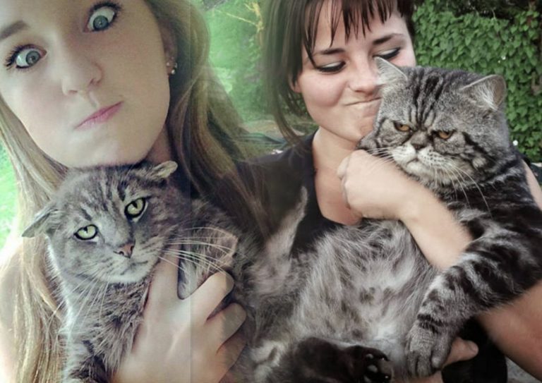 Котики, явно недовольные тем, что их фотографируют