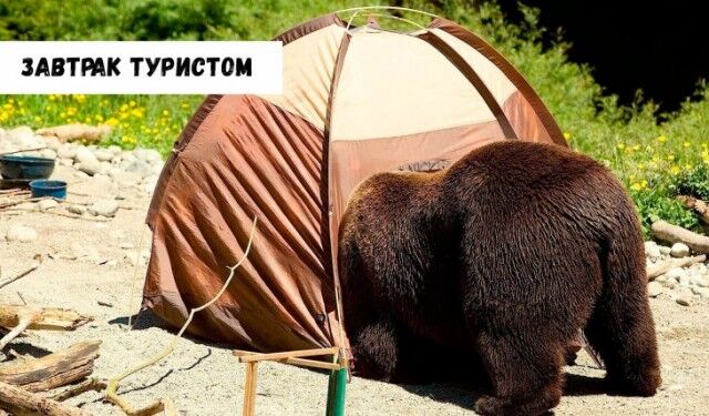 Фотоприколы - утренняя подборка