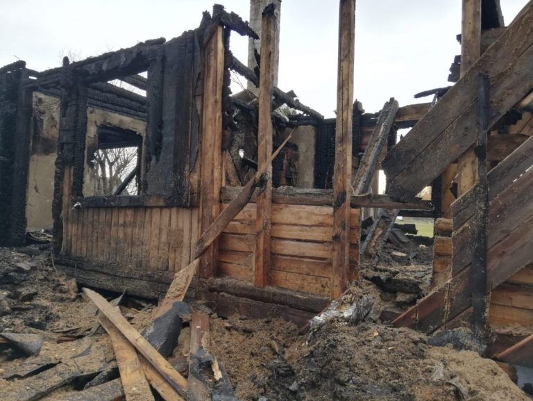 Под Огре 17-летний кот спас хозяев дома от смерти