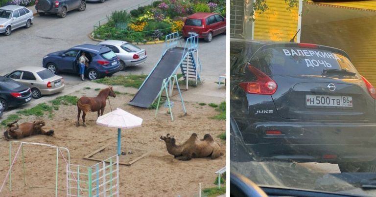 18 сумасшедших фотографий, которые могли быть сделаны только в России