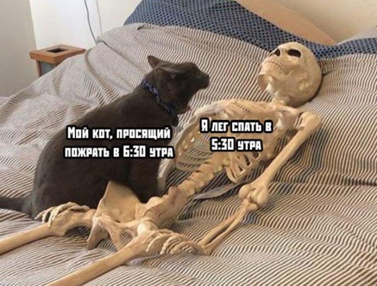 подборка фото приколов
