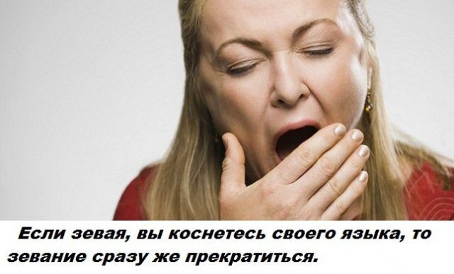 Бесполезные факты обо всем на свете