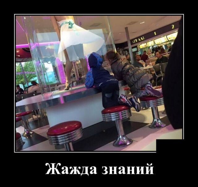 Демотиваторы (29 штук)