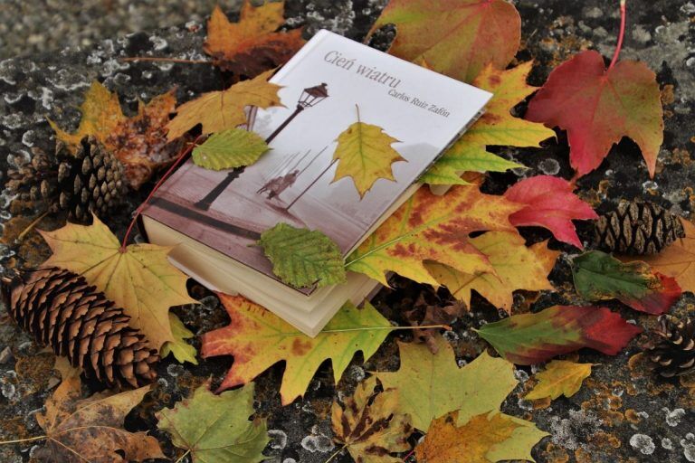 #читатьнеперечитать: три книжные новинки недели