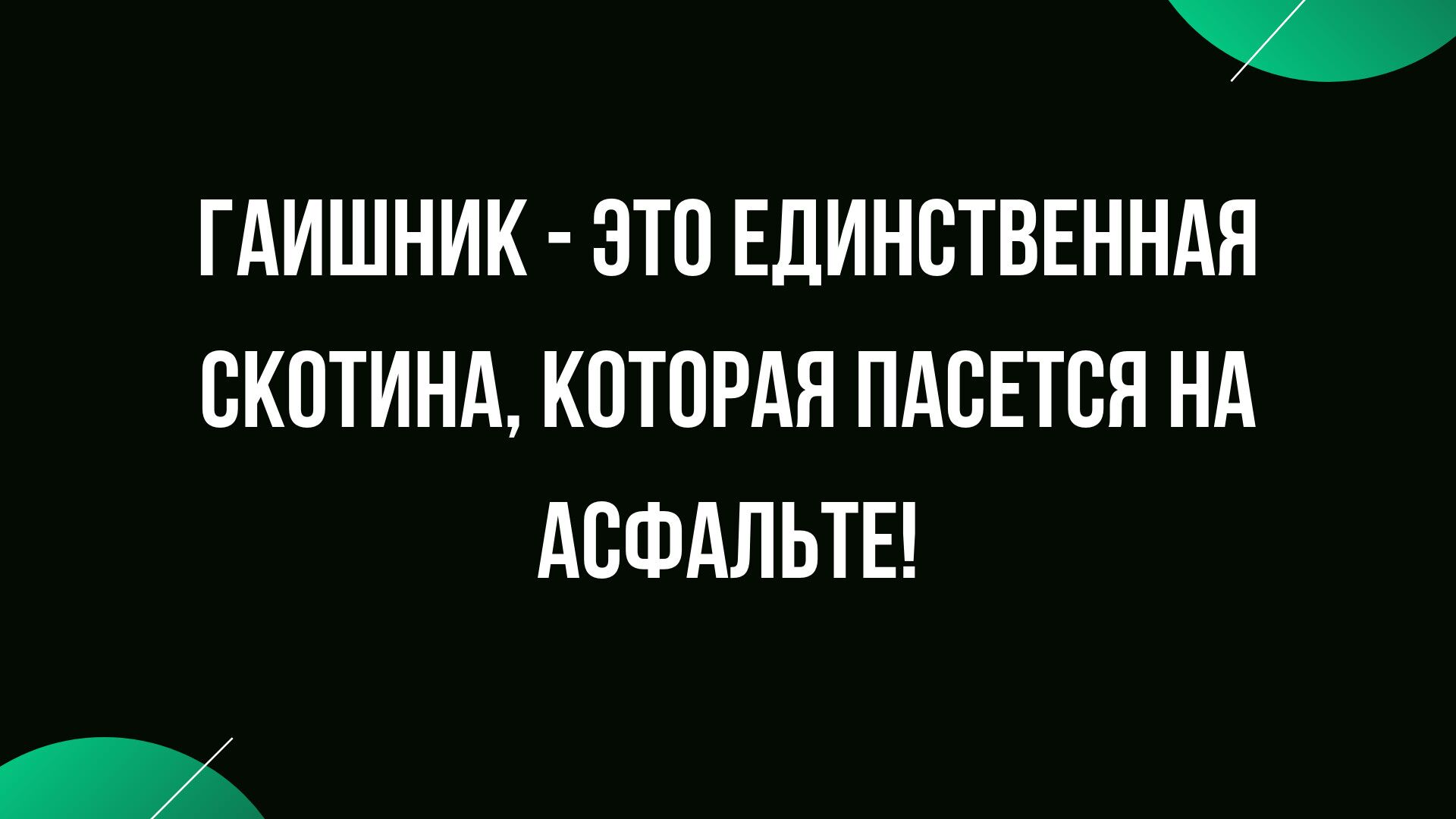 анекдоты и юмор