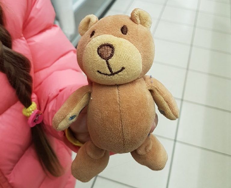 Мишка, вернись! Женщина просит помочь найти любимую игрушку дочери