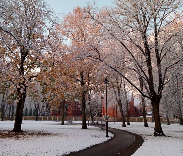 Чудесное утро или опаздывающий транспорт: реакция соцсетей на первый снег