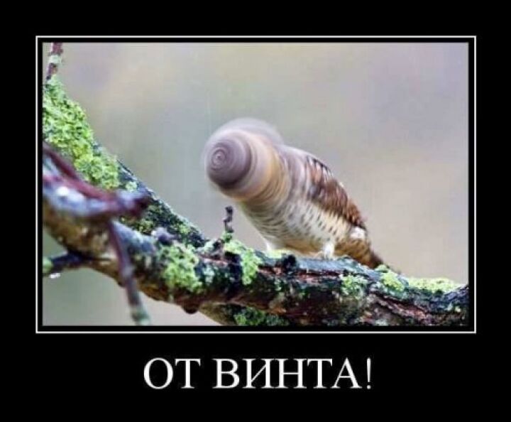 Свежие демотиваторы (18 фото)