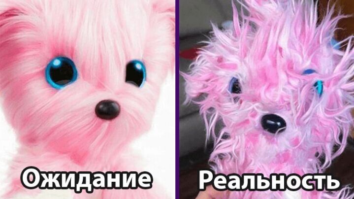 20 случаев, когда люди заказали крутые игрушки, а получили что-то неожиданное