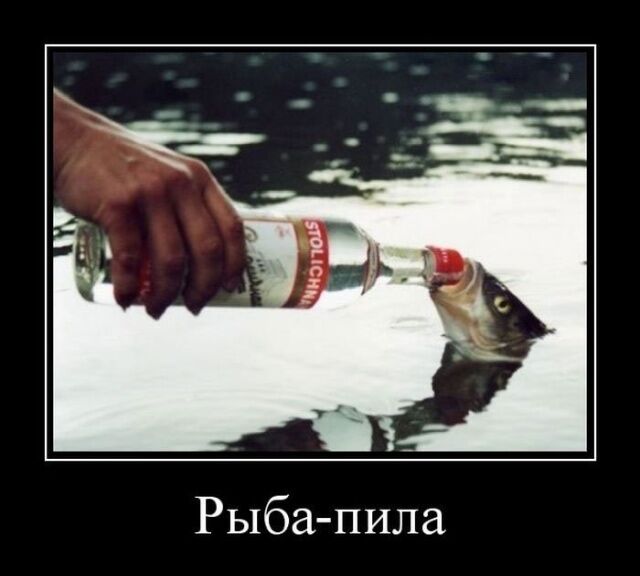 Новая демотивирующие картинки для хорошего настроения