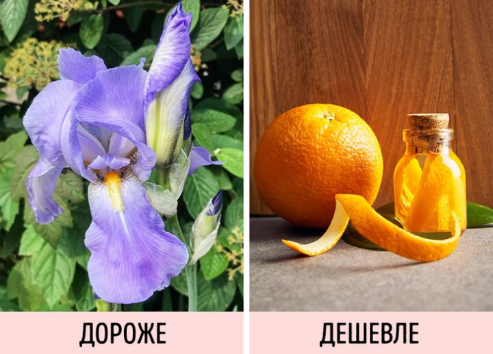 7 советов, которые помогут вам неплохо сэкономить при выборе духов