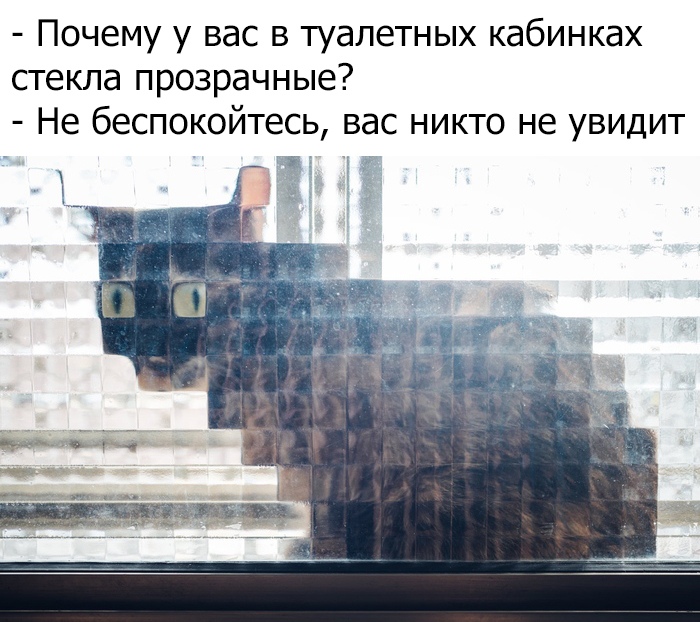 Подборка фото приколов и картинок с надписями