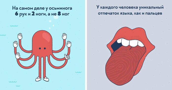 25 фактов о нашем мире, которые вскружат голову любому всезнайке