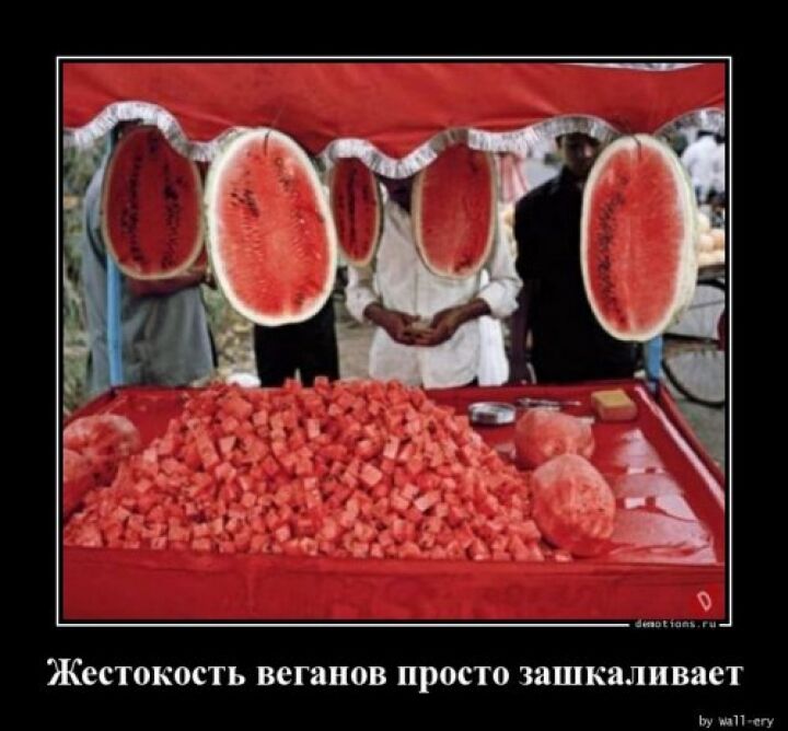 Свежая порция демотиваторов (35 штук)