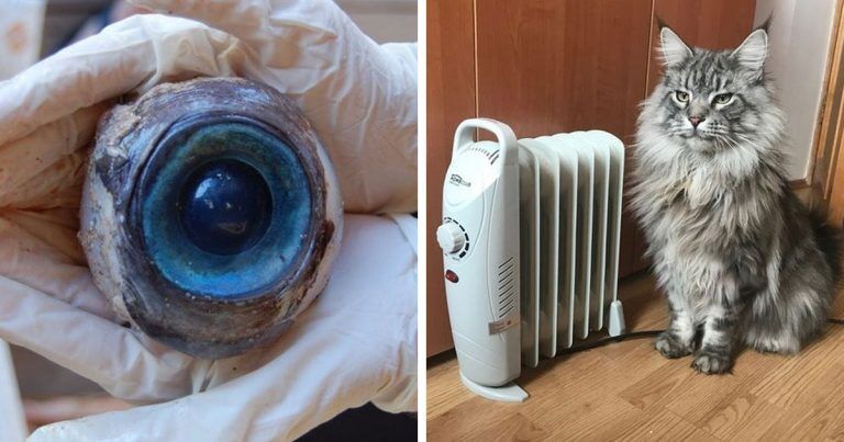 16 “гигантских” чудес нашего мира, которые вас удивят