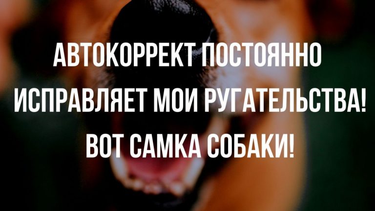 подборка юмора из сети