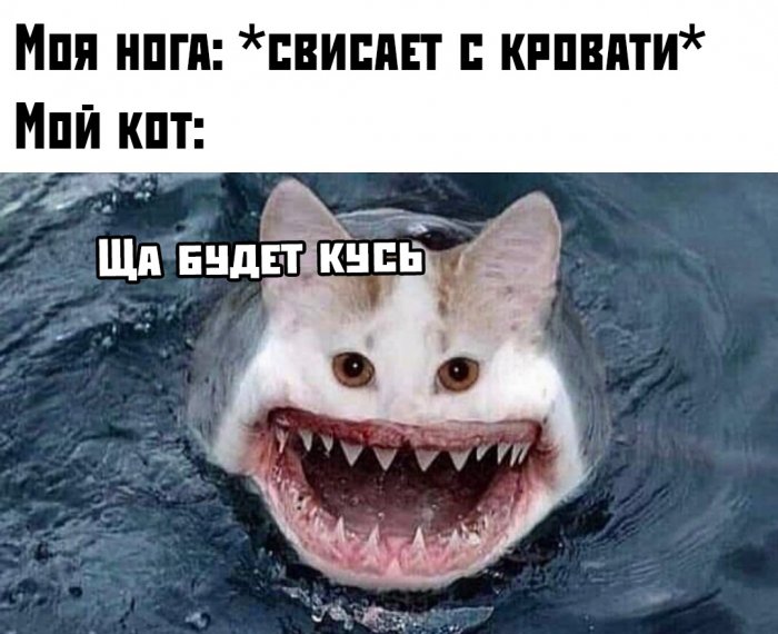 Подборка прикольных картинок от 14 ноября