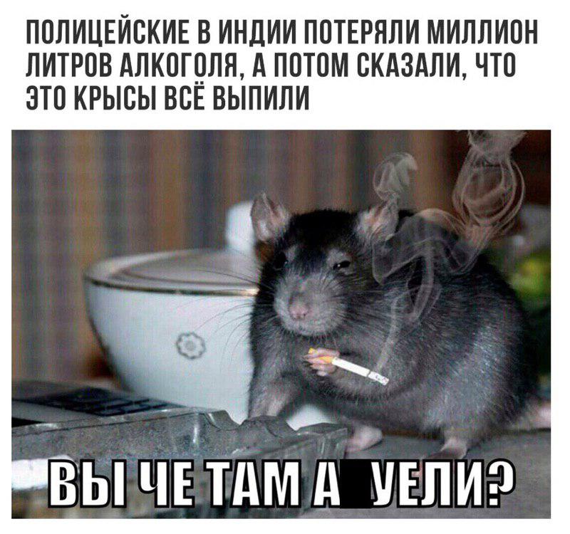 Алкопост на выходные
