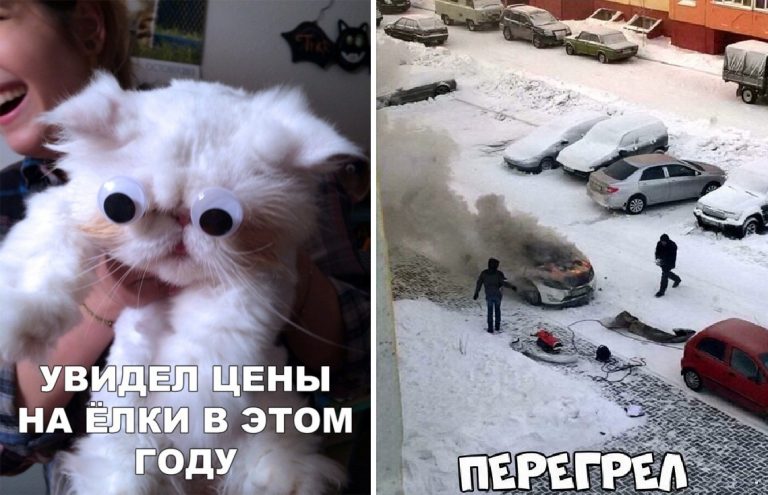 Легкий юмор из сети