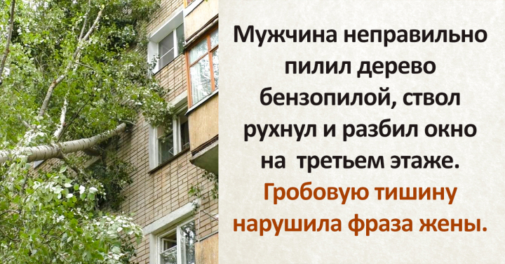 Жизненные истории, пропитанные неудержимым женским юмором