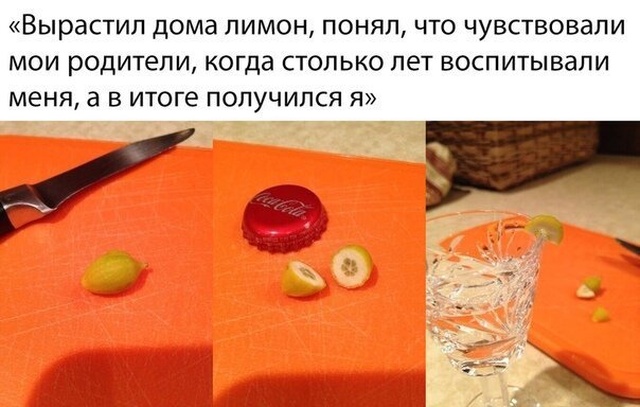 Немного шуток и комментариев из социальных сетей