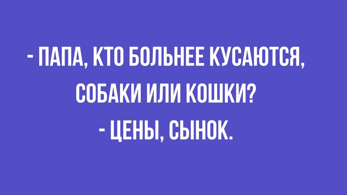 подборка приколов в картинках