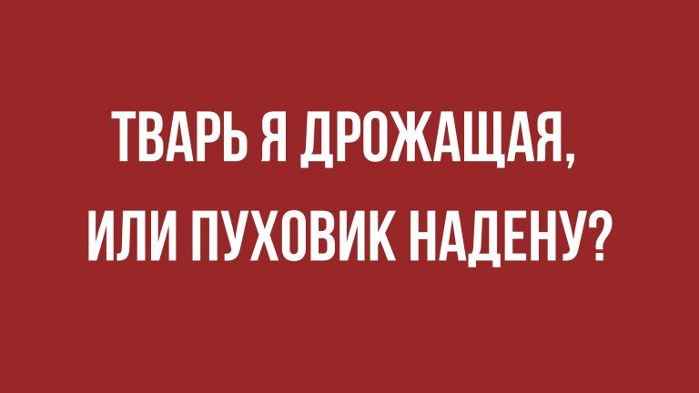 Анекдоты лучшие и смешные в субботу