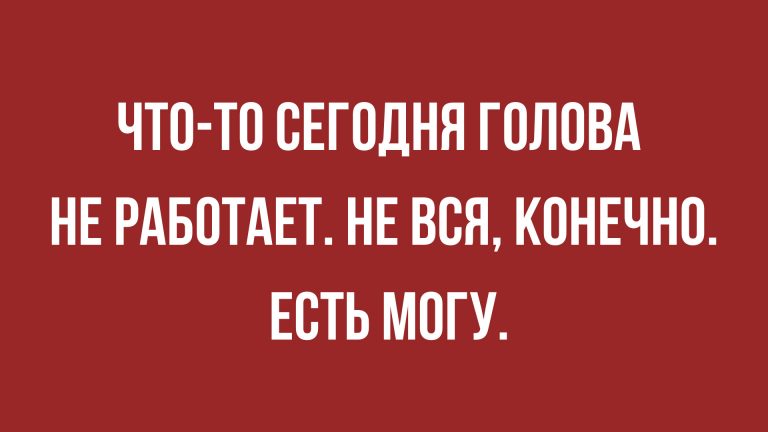 новые анекдоты и шутки
