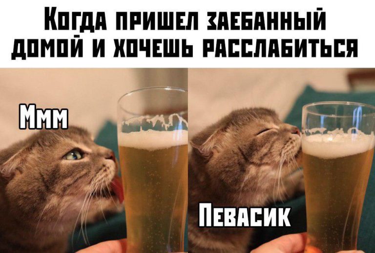Алкогольный юмор на выходные