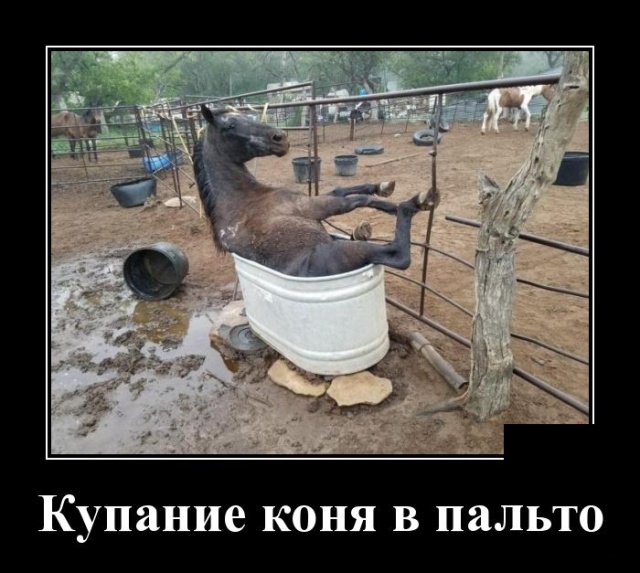 Подборка детомотиваторов для настроения